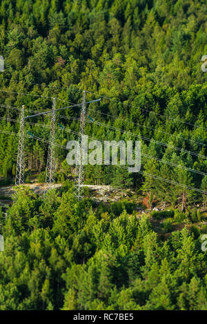 Luftaufnahme von Strom Pylon im Wald Stockfoto