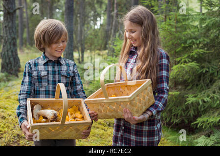 Bruder und Schwester Pilze im Wald Stockfoto