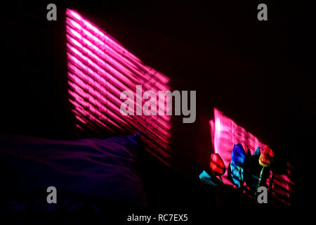 Buntes Holz Tulpe Blumen in einem dunklen Raum mit ausrichtbaren Beleuchtung über Holzjalousien Stockfoto