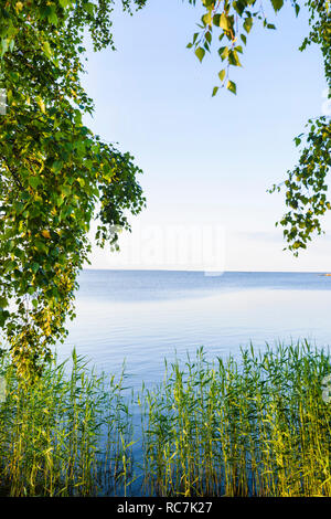 Malerischer Blick auf Meer mit Bäumen und Pflanzen im Vordergrund. Stockfoto