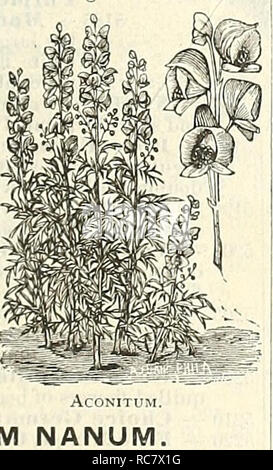 . Dreer's Garten Kalender für 1888. Samen Kataloge; Baumschulen Kataloge Kataloge; Garten; Blumen Samen Kataloge. . Bitte beachten Sie, dass diese Bilder sind von der gescannten Seite Bilder, die digital für die Lesbarkeit verbessert haben mögen - Färbung und Aussehen dieser Abbildungen können nicht perfekt dem Original ähneln. extrahiert. Henry A. Dreer (Hart); Henry G. Gilbert Baumschule und Saatgut Handel Katalog Kollektion. Philadelphia, Pa: Henry A. Dreer Stockfoto