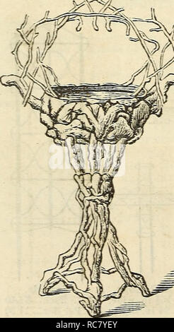 . Dreer's Garten Kalender: 1874. Samen Kataloge; Baumschulen Kataloge Kataloge; Garten; Blumen Samen Kataloge. 88 treer Garten Kalender. Rustikale WOpK, m Â ¥ SESSEL. '''Â""::::: â â¢^^^'''^^''' â hängende Körbe. SETTEJ -: SâSame sttlz.^ F Herr Fuß lang SS 50 von vaTzov.^ Größen und patta-ns. Sechs Fuß Ionen 12 bis 15 00 Schaukelstuhl 8 00 Sl.25 auf 5,00 $. W^^. J^Â £ Sp ANLAGE STEHT, in verschiedenen Ausführungen und Größen. Preise ab 85,00 bis 15,00 $. Für andere Rustikale arbeiten, finden Sie auf Seite 89. ^. Bitte beachten Sie, dass diese Bilder aus gescannten Seite Bilder, die wurden di extrahiert werden Stockfoto