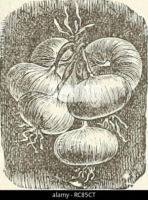 . Dreer's Garten Kalender. Samen Kataloge; Baumschulen Kataloge; Gartengeräte und Zubehör Kataloge; Blumen Samen Kataloge ; Obst ; Gemüse Samen Samen Kataloge Kataloge. . Bitte beachten Sie, dass diese Bilder sind von der gescannten Seite Bilder, die digital für die Lesbarkeit verbessert haben mögen - Färbung und Aussehen dieser Abbildungen können nicht perfekt dem Original ähneln. extrahiert. Henry A. Dreer (Hart); Henry G. Gilbert Baumschule und Saatgut Handel Katalog Kollektion. Philadelphia, Pa: Henry A. Dreer Stockfoto