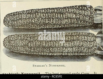 . Dreer's Garten Kalender. Samen Kataloge; Baumschulen Kataloge; Gartengeräte und Zubehör Kataloge; Blumen Samen Kataloge ; Obst ; Gemüse Samen Samen Kataloge Kataloge. . Bitte beachten Sie, dass diese Bilder sind von der gescannten Seite Bilder, die digital für die Lesbarkeit verbessert haben mögen - Färbung und Aussehen dieser Abbildungen können nicht perfekt dem Original ähneln. extrahiert. Henry A. Dreer (Hart); Henry G. Gilbert Baumschule und Saatgut Handel Katalog Kollektion. Philadelphia, Pa: Henry A. Dreer Stockfoto