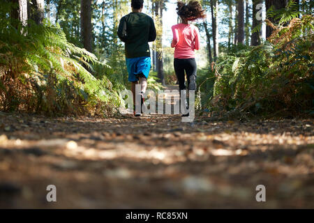 Männlichen und weiblichen Läufern im Wald läuft, Ansicht von hinten