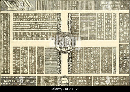 . Dreer's Garten Kalender: 1886. Samen Kataloge; Baumschulen Kataloge Kataloge; Garten; Blumen Samen Kataloge; Gartengeräte und Zubehör Kataloge. Wenn möglich, einen Gemüsegarten sollte eine warme und südöstlichen Exposition. Aber wenn die Masse hängen im Norden und Westen ist es wichtig, dass der Garten liegt auf der Sonnenseite des Obstgartens oder Nebengebäude. Jeder Mensch, der vor dem Gebäude, sollte ich wählen Sie die Wünschenswerteste Situation möglich für den Gemüsegarten, wie die Belichtung wurde viel witli der frühen ma-entfie' len der Pflanzen zu tun. Die Erde muss in einem friab werden Stockfoto