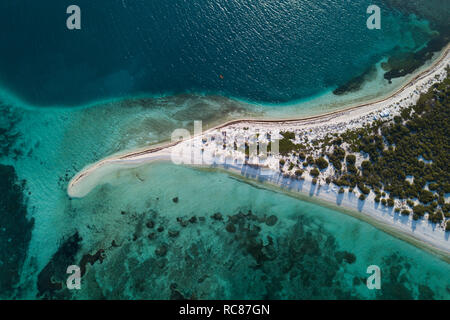 Reef Life und Cay, Alacranes, Campeche, Mexiko Stockfoto