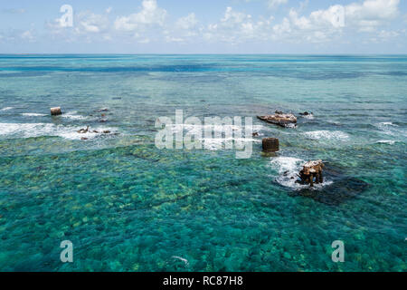 Reef Life und alten Wracks, Alacranes, Campeche, Mexiko Stockfoto