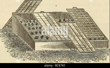 . Dreer's Garten Kalender: 1883. Samen Kataloge; Baumschulen Kataloge Kataloge; Garten; Blumen Samen Kataloge. 4 DREER'S GARTEN KALENDER. Die Exposition der einen Garten hat viel mit der frühen Reife der Pflanzen tun; eine Gefährdung für die Morgensonne ist wünschenswert. Die Erde muss in einem lockeren Zustand, die Ansage vegetarisches - tation der Samen zu sichern, und die Zerstörung, oder vielmehr der Prävention, von Unkraut, ist einer der am meisten desira - ble Ergebnisse der häufigen § tirring der Oberfläche. Böden sind anfällig für Veränderung und Verbesserung -' ment in der Textur; schwere Tone können gerendert werden geöffnet und porös, und lig Stockfoto