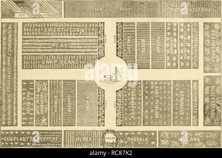 . Dreer's Garten Kalender: 1883. Samen Kataloge; Baumschulen Kataloge Kataloge; Garten; Blumen Samen Kataloge. DREER'S GARTEN KALENDER. 3 DEN GEMÜSEGARTEN. Vorbereitung des Bodens - eine angemessene Rendite in zeitgemäßen Ernten zu sichern, für die Arbeit und Aufwand investiert, ist es unerlässlich, dass der Boden der Gemüsegarten gut sollte underdrained. Gründlich trenched oder aufgelockert, und durch eine geschickte Anwendung der Düngung Material angereichert. Es ist immer noch die aktuelle Stellungnahme, basierend auf der Erfahrung, dass für alle Zwecke gut Kompostiert barn Yard Dünger, wenn verfügbar, ist die beste Materia Stockfoto
