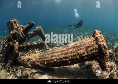 Taucher erkunden Riffleben und alten Wracks, Alacranes, Campeche, Mexiko Stockfoto