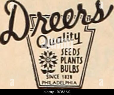 . Dreer's Garden buchen Sie für 1941. Samen Kataloge; Baumschulen Kataloge; Gartengeräte und Zubehör Kataloge; Blumen Samen Kataloge; Gemüse; Früchte Samen Samen Kataloge Kataloge. 103 Jahre. Für mehr als ein cen tury Gärtner durch - aus Amerika gekommen sind auf dreer Weiterverarbei- lor Gebäude Gärten wunderschön und Preis gewinnen zu bauen - ning Ergebnisse auf ihre Lieblingsblume zeigt. C Pflanzen, Samen, Zwiebeln Kohl 58" Chinese.... 58 Kabomba 112 Cacalia 19 Caladium 75 Mimulus 19 Calendula 5, 19 Kalifornien Blue Bell 39" Poppy 27 "Privet 95 Calla 75 Callicarpa 96 Calliopsis Stockfoto