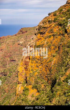 Orange Flechten, Kakteen und Sträuchern auf der Klippe des Barranco de Anaga Tomadero in der Region von Teneriffa, Kanarische Inseln, Spanien Stockfoto