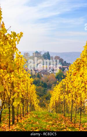 Grabkapelle auf dem Württemberg, gelb Weinberge im Herbst, Rotenberg, Stuttgart, Baden-Württemberg, Deutschland Stockfoto