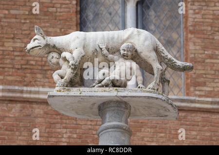 Mythische Wölfin mit Romulus und Remus Skulptur vor der Kathedrale von Siena, Toskana, Italien Stockfoto