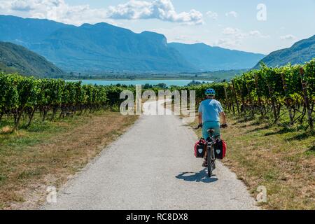 Radfahrer mit Mountainbike, auf dem Radweg Via Claudia Augusta, die Alpen, Kreuzung zwischen Weinbergen, Weinberge, den Kalterer See Stockfoto