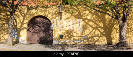 Prag - Das acacias Für die Wand der Kapuziner Kloster. Stockfoto