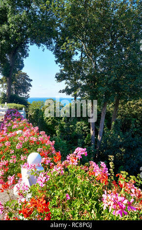 Geranien und durch die Bäume auf die Ostsee sehen. Lohme auf der Insel Rügen. Stockfoto