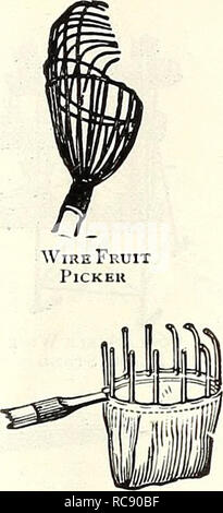 . Dreer von Glühlampen 1921. Blumen Samen Kataloge, Leuchtmittel (Pflanzen) Samen Kataloge; Baumschulen (Gartenbau) Kataloge; Gartengeräte und Zubehör Kataloge. . Bitte beachten Sie, dass diese Bilder sind von der gescannten Seite Bilder, die digital für die Lesbarkeit verbessert haben mögen - Färbung und Aussehen dieser Abbildungen können nicht perfekt dem Original ähneln. extrahiert. Henry A. Dreer (Hart); Henry G. Gilbert Baumschule und Saatgut Handel Katalog Kollektion. Philadelphia, Pa: Henry A. Dreer Stockfoto