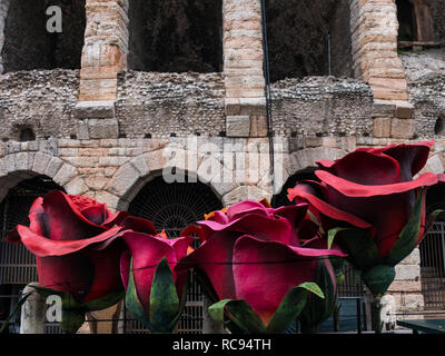 Riesige rote Rosen vor der Arena von Verona, ein Symbol der Liebe, ideal um das Konzept der Liebe zu vertreten Stockfoto