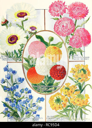 . Dreer's Garten Buch 1929. Samen Kataloge; Baumschulen Kataloge; Gartengeräte und Zubehör Kataloge; Blumen Samen Kataloge; Gemüse; Früchte Samen Samen Kataloge Kataloge. . Bitte beachten Sie, dass diese Bilder sind von der gescannten Seite Bilder, die digital für die Lesbarkeit verbessert haben mögen - Färbung und Aussehen dieser Abbildungen können nicht perfekt dem Original ähneln. extrahiert. Henry A. Dreer (Hart); Henry G. Gilbert Baumschule und Saatgut Handel Katalog Kollektion. Philadelphia, Pa: Henry A. Dreer Stockfoto