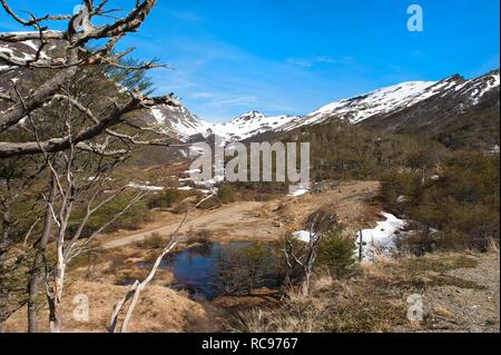 Bergiges Landschaft, Tierra del Fuego National Park, Feuerland, Patagonien, Argentinien, Südamerika Stockfoto