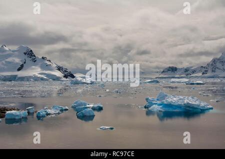 Schwimmende Eis, Bahia Paraiso, Paradise Bay, Antarktische Halbinsel, Antarktis Stockfoto