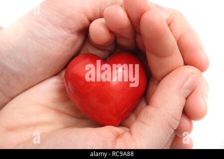 Hand hält ein rotes Herz, symbolische Bild für Herzkrankheit, Herzinfarkt, ein krankes Herz, Kardiologie Stockfoto