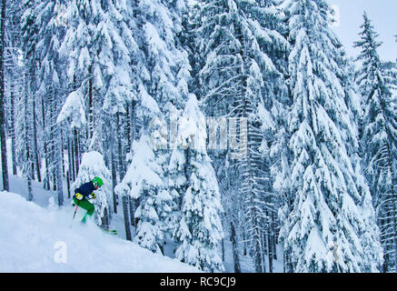 Skifahrer und Ski Tour Walker mit dem Lift Alpspitzbahn bis zu dem Berg Alpspitz den Hängen entlang iced Wald in Nesselwang, Allgäu, Bava unten laufen zu lassen Stockfoto