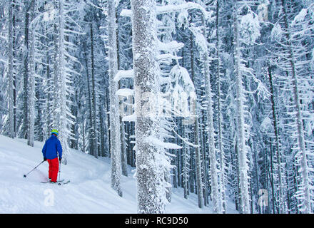 Skifahrer und Ski Tour Walker mit dem Lift Alpspitzbahn bis zu dem Berg Alpspitz den Hängen entlang iced Wald in Nesselwang, Allgäu, Bava unten laufen zu lassen Stockfoto