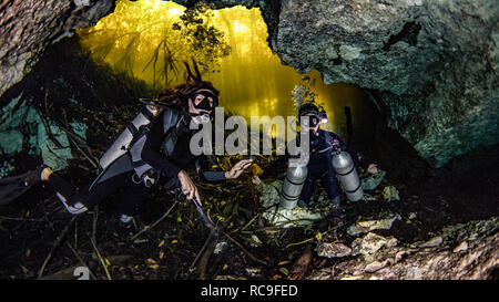 Cenote Höhlentauchen, Tulum, Quintana Roo, Mexiko Stockfoto