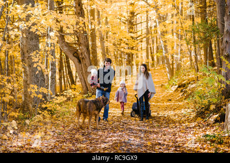 4-köpfige Familie und Hund im Wald Stockfoto