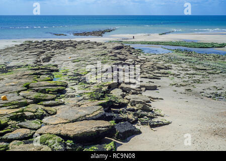 Jurassic rock Schichten bei Ebbe freiliegenden am Strand von Ambleteuse auf steinigen Nordsee Küste, der Côte d'Opale/Opal Küste, Frankreich Stockfoto