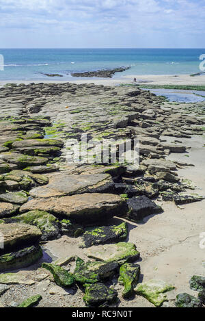 Jurassic rock Schichten bei Ebbe freiliegenden am Strand von Ambleteuse auf steinigen Nordsee Küste, der Côte d'Opale/Opal Küste, Frankreich Stockfoto