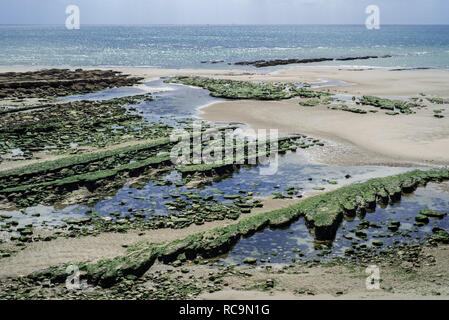 Jurassic rock Schichten bei Ebbe freiliegenden am Strand von Ambleteuse auf steinigen Nordsee Küste, der Côte d'Opale/Opal Küste, Frankreich Stockfoto