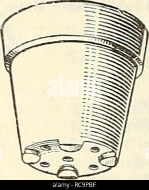 . Dreer ist Herbst Katalog 1930. Die Glühbirnen (Pflanzen) Kataloge; Blumen Samen Kataloge; Gartengeräte und Zubehör Kataloge; Baumschulen (Gartenbau) Kataloge; Gemüse Samen Kataloge. RouxD Glühbirne oder Lily P.n "belüftet" CYCLAMEN TÖPFE Die fünf Löcher in den unteren vier Mal so viel Entwässerung als Standard Topf während die Füße ein freier Durchgang von Luft verhindert, dass das Säuern der Wurzeln ermöglichen. Für Cyclamen, Weihnachtsstern, Begonien, Primel, etc. Abmessungen Ähnlich standard Töpfe. Empfohlen. "Belüftet" CYCLAMEN TÖPFE Jede Doz. 100 1000 SO 08 55 S 3 30 S 29 50 09 65 4 45 40 00 11 Stockfoto