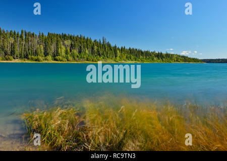 Pine Lake, Wood Buffalo National Park, Alberta, Kanada Stockfoto