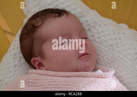 Neugeborenes Baby Balatonfüred in einem Kissen, das Art ist 12 Tage alt | New Born Baby liegend auf einem Kissen - das Baby ist 12 Tage alt. Stockfoto