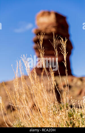 Getrocknete Gräser vor dem Roque Cinchado, Roques de Garcia, Felsformation in der Las Canadas del Teide National Park, Teneriffa, Kanarische Inseln, S Stockfoto