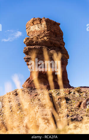 Getrocknete Gräser vor dem Roque Cinchado, Roques de Garcia, Felsformation in der Las Canadas del Teide National Park, Teneriffa, Kanarische Inseln, S Stockfoto