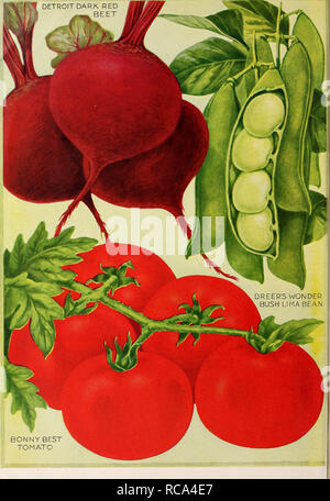 . Dreer's Garten Buch 1919. Samen Kataloge; Baumschulen Kataloge; Gartengeräte und Zubehör Kataloge; Blumen Samen Kataloge; Gemüse; Früchte Samen Samen Kataloge Kataloge. BONNY beste Tomate. Bitte beachten Sie, dass diese Bilder sind von der gescannten Seite Bilder, die digital für die Lesbarkeit verbessert haben mögen - Färbung und Aussehen dieser Abbildungen können nicht perfekt dem Original ähneln. extrahiert. Henry A. Dreer (Hart); Henry G. Gilbert Baumschule und Saatgut Handel Katalog Kollektion. Philadelphia, Pa: Henry A. Dreer Stockfoto