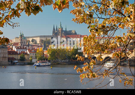 Prag - die Burg und die Kathedrale von der Moldau und im Herbst Blätter. Stockfoto