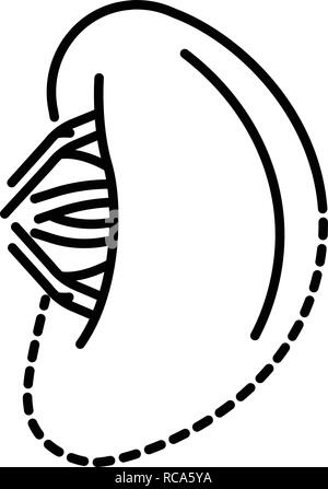 Gesunde Milz Symbol, outline Style Stock Vektor