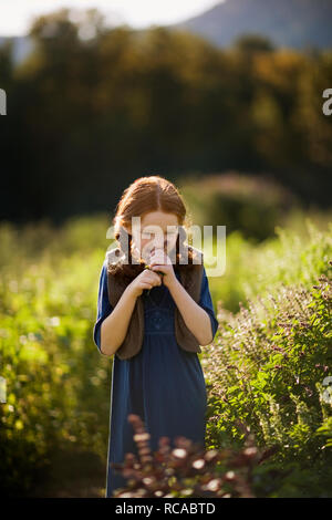 Junge Mädchen riechen eine Handvoll Lavendel in einem sonnigen Garten. Stockfoto