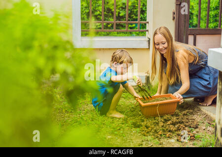 Schöne junge Frau und ihres süßen Sohn einpflanzen Sämlinge im Bett in den heimischen Garten im Sommer Tag. Garten Werkzeug, Handschuhe und Gießkanne im Freien. Gartenbau Aktivität mit Kind und Familie Stockfoto