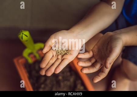 Kleinen Niedlichen jungen sät Samen in einem Topf im Garten Stockfoto