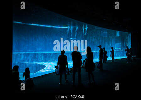 Acquario di Genova, Eingang, das größte Aquarium in Europa, Porto Antico (Genua, Zena), Ligurien, Italien, Europa Stockfoto