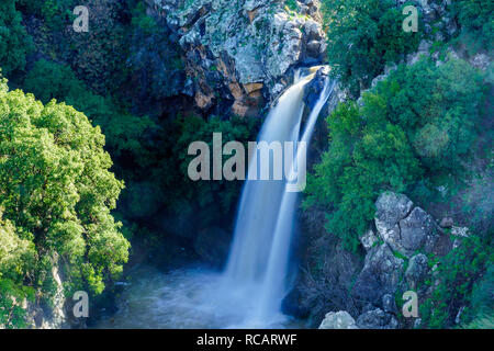 Blick auf die Saar Wasserfall, auf den Golanhöhen, Morthern Israel Stockfoto