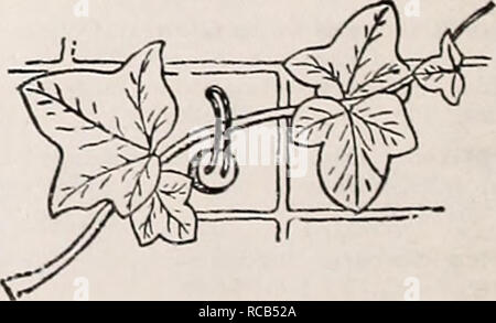 . Dreer ist Herbst einpflanzen Leitfaden für 1941. Die Glühbirnen (Pflanzen) Kataloge; Blumen Samen Kataloge; Gartengeräte und Zubehör Kataloge; Baumschulen (Gartenbau) Kataloge; Gemüse Samen Kataloge. Tot Hanger Simplex Garten Label Grün wetterfest Anlage Etiketten. Ka. sily mit einem spitzen Stahl Stylus (kostenlos) wliich Schnitte bis hin zu den weißen Sockel ein. l) eautiful Wirkung von weisser Schrift auf dunkelgrünem Hintergrund gekennzeichnet. Eine wirklich dauerhafte Markierung. Nr. 31 - 3 X J Zoll, 4 Sc pro dtz.; $ 2,50 pro 100. Topf Kleiderbügel. Eine leicht angeschlossenen Kabel Anordnung für Hang-ing Töpfe. Für 5, 6, 7, und 8 Stockfoto