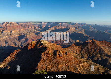 Am frühen Morgen Blick nach Norden über den Grand Canyon aus der Moran Point outlook Bereich auf der South Rim, Grand Canyon National Park, AZ, USA. Stockfoto